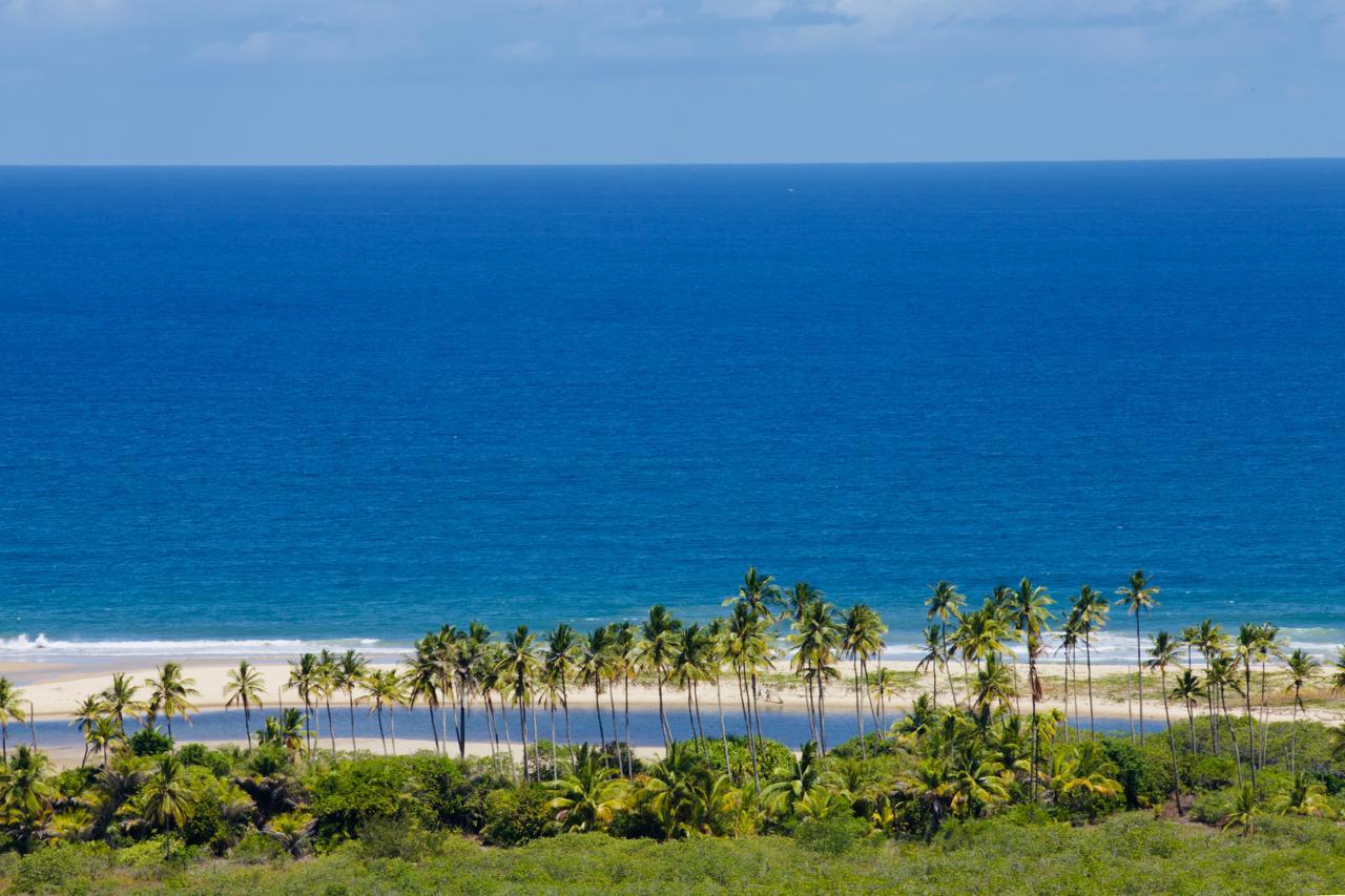 Praia e coqueiros — costa do dendê