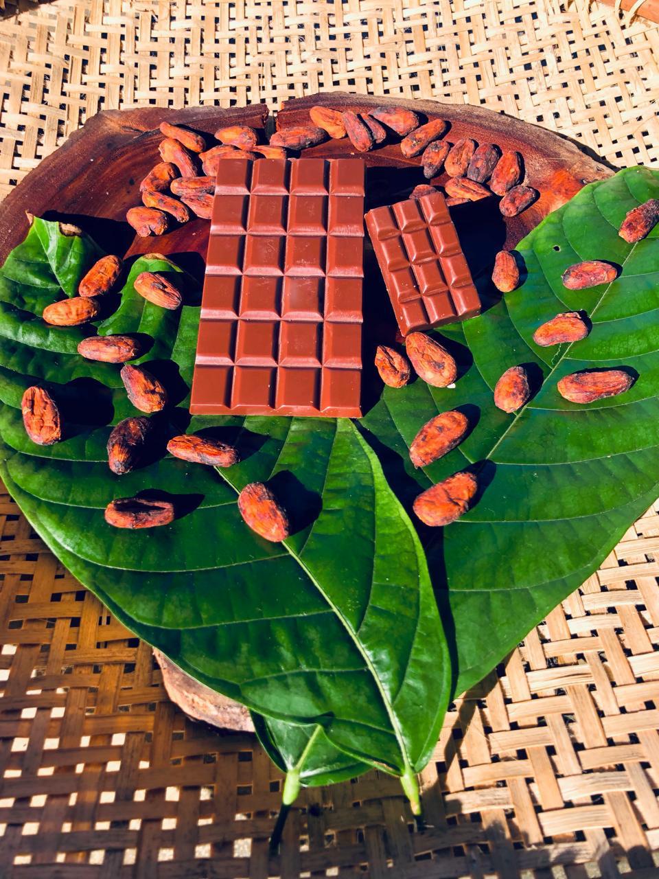 Cacau e chocolate artesanal