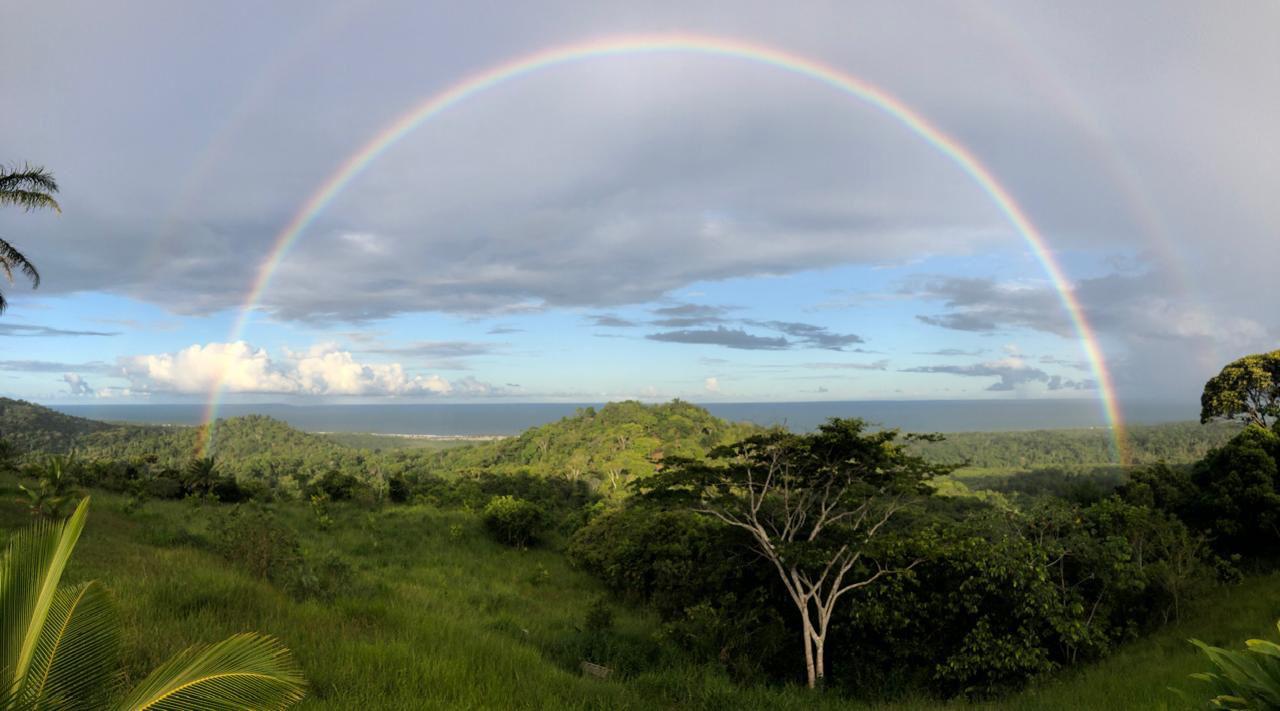 Arco-íris duplo sobre a Mata Atlântica em Serra Grande, Bahia